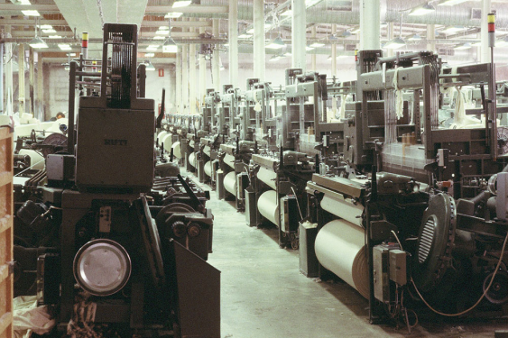 image 2026 03 12 003201055