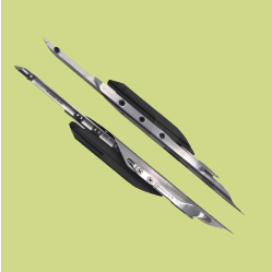 image 2026 03 15 144701945